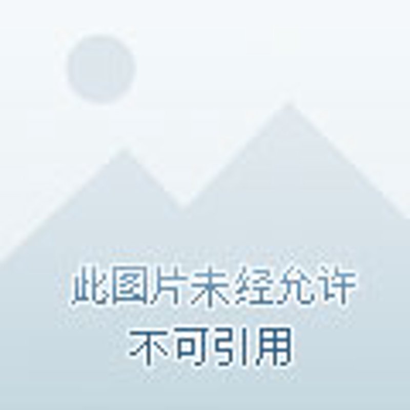 轻松管理企业成本：成本核算软件的价值与选择